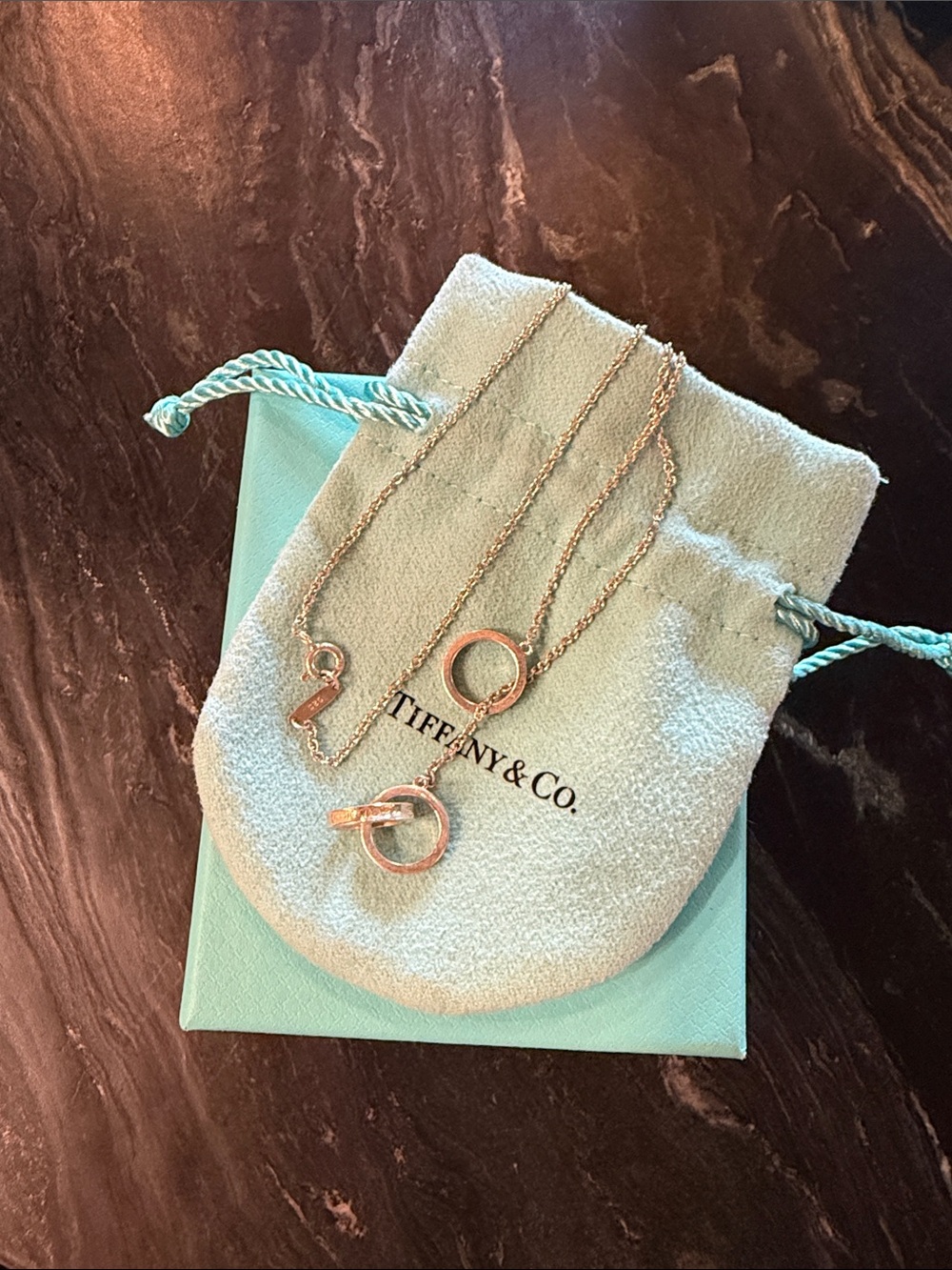 Tiffany & Co. 1837 Interlocking Circles Pendant Necklace